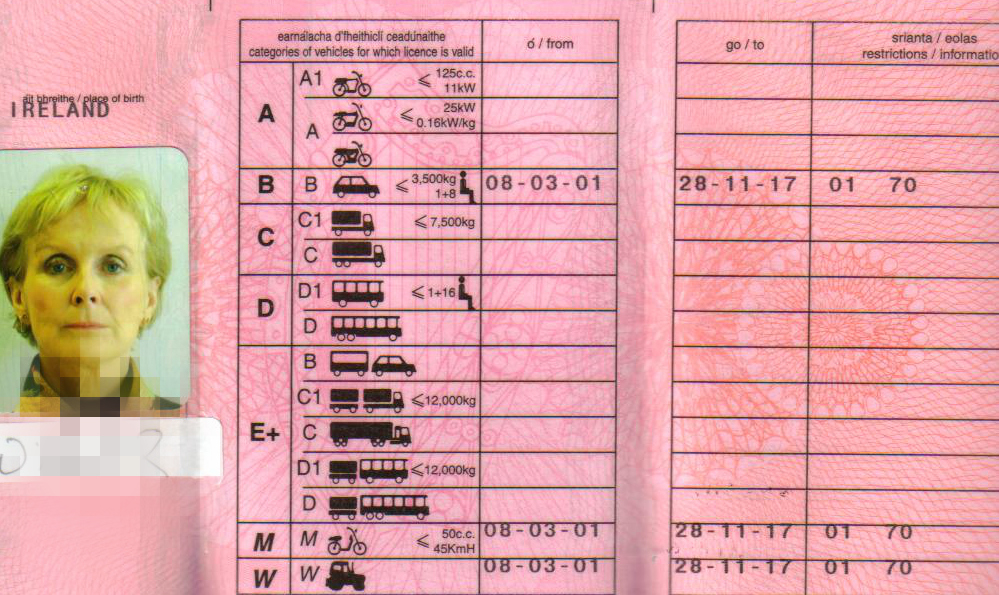 Quanto Costa Comprare la Patente con il Nostro Corso Serale? 100% Trusted, Buy Now